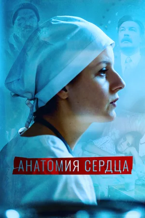 Анатомия сердца ()