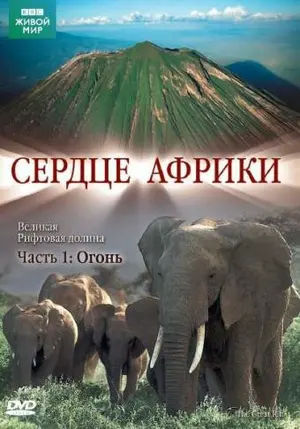 BBC: Сердце Африки ()