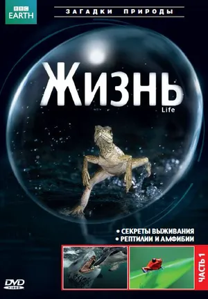 BBC: Жизнь ()