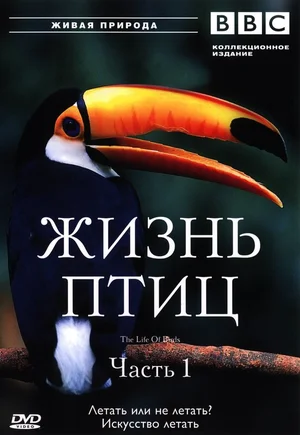 BBC: Жизнь птиц ()