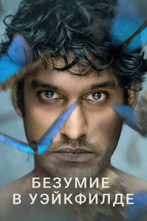 Безумие в Уэйкфилде ()