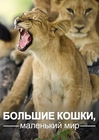 Большие кошки, маленький мир ()