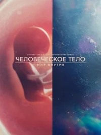 Человеческое тело: мир внутри ()