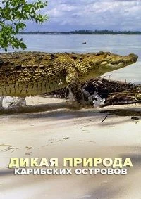 Дикая природа Карибских островов ()