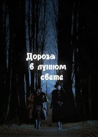 Дорога в лунном свете