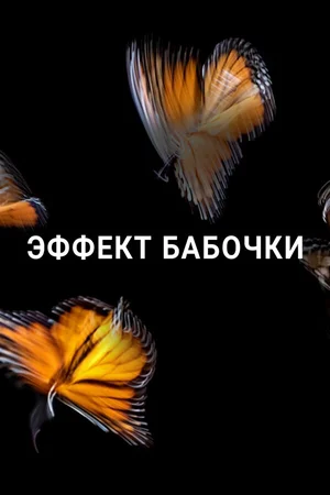 Эффект бабочки ()