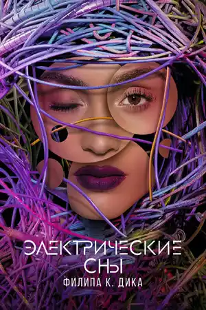 Электрические сны Филипа К. Дика ()