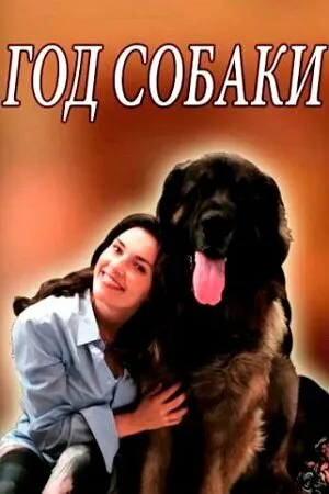 Год собаки ()