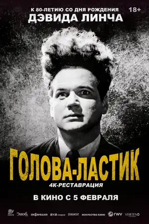Голова-ластик