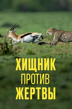 Хищник против жертвы