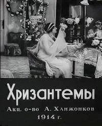 Хризантемы