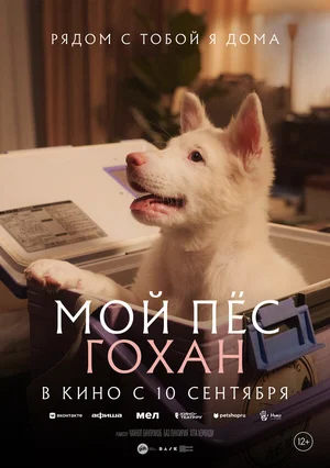 Мой пёс Гохан