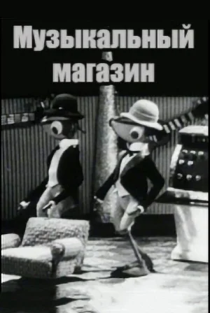 Музыкальный магазин