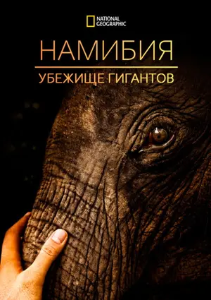 Намибия: убежище гигантов