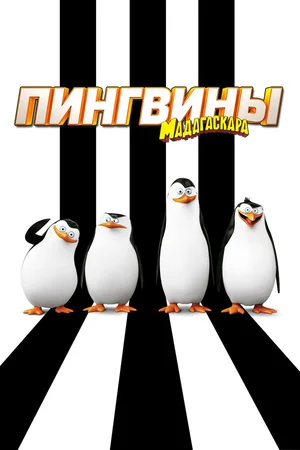 Пингвины Мадагаскара