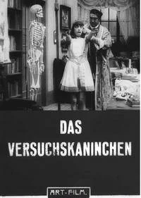 Das Versuchskaninchen