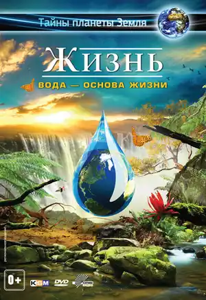 Жизнь: Вода — основа жизни